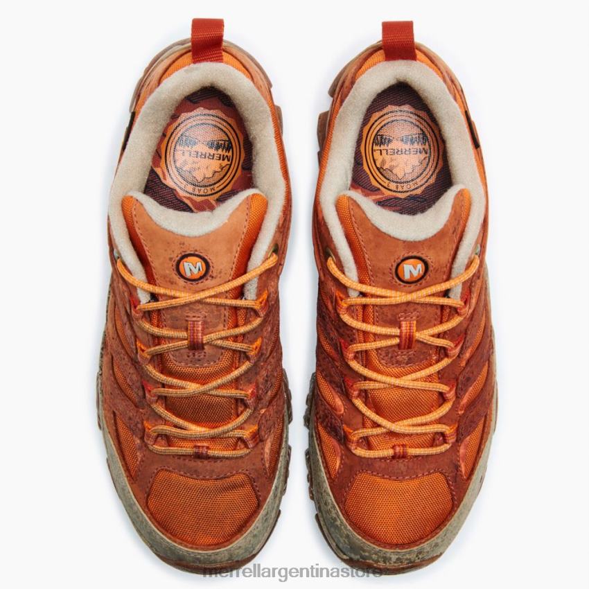 hombres zapatos bruñido NL2ZZ655 Merrell moab 3 liso gore-tex (j036369)